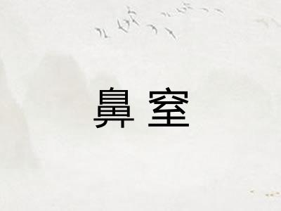 鼻窒