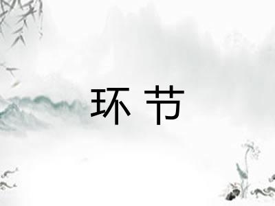 环节