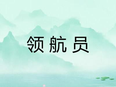领航员