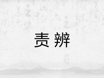 责辨