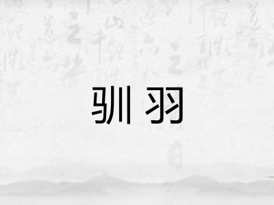 驯羽