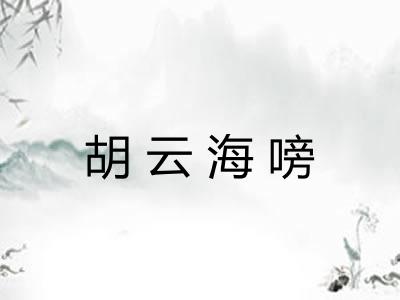 胡云海嗙