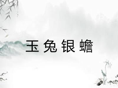 玉兔银蟾