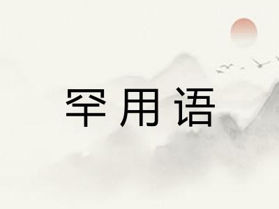罕用语