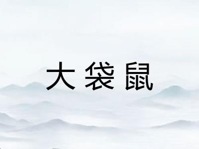 大袋鼠