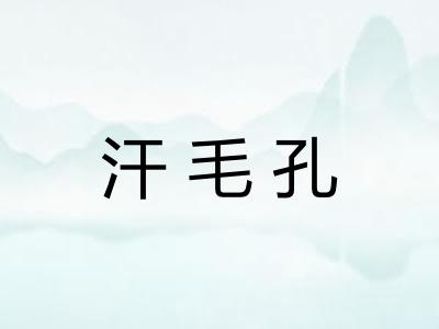 汗毛孔