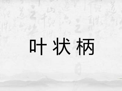 叶状柄