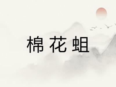 棉花蛆