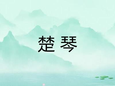 楚琴