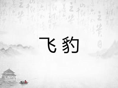 飞豹