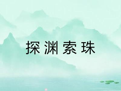 探渊索珠