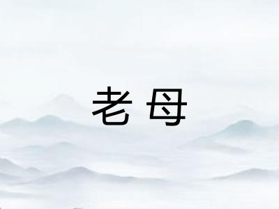 老母