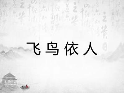 飞鸟依人