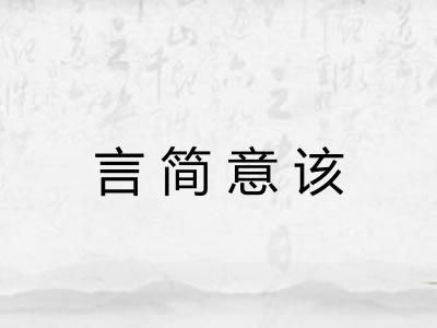 言简意该