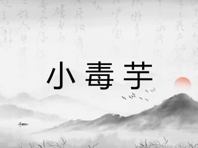 小毒芋