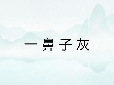 一鼻子灰