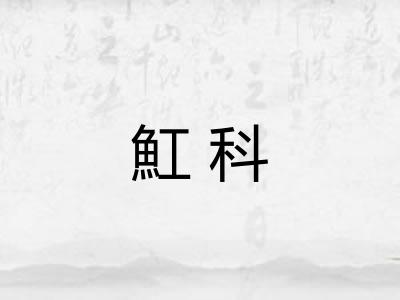 魟科