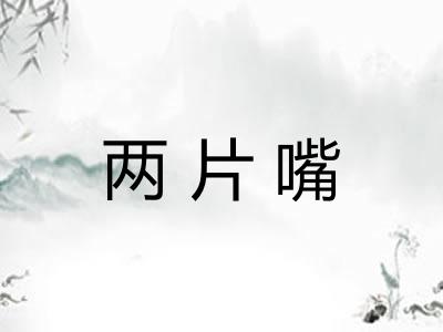 两片嘴