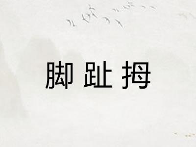 脚趾拇