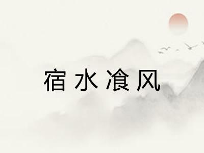 宿水飡风