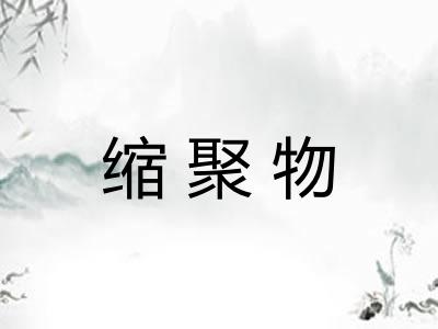 缩聚物