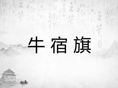 牛宿旗