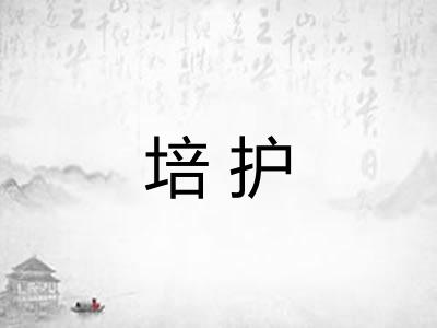 培护