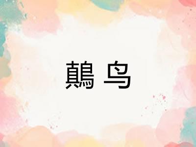 鷏鸟