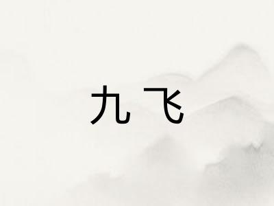 九飞