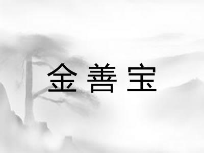 金善宝