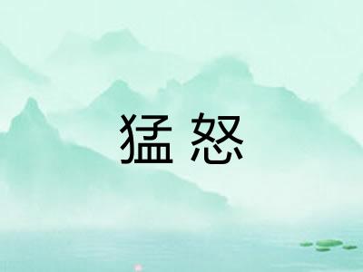 猛怒