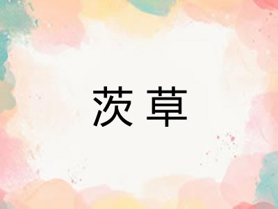 茨草