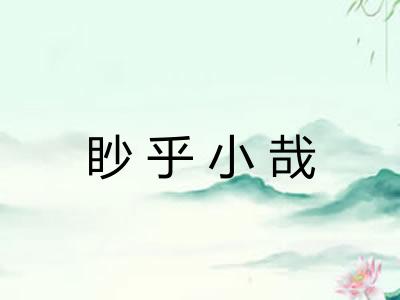 眇乎小哉