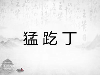 猛趷丁