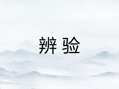 辨验