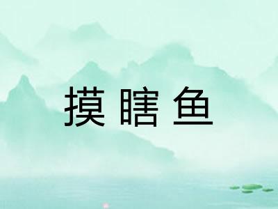 摸瞎鱼