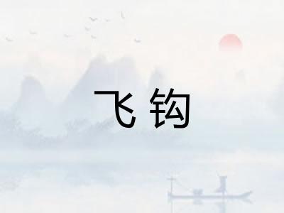 飞钩