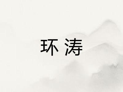 环涛