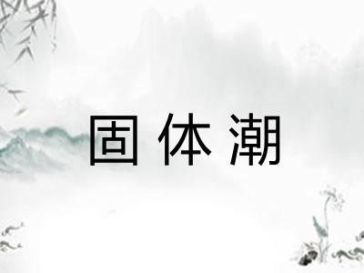 固体潮