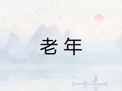 老年