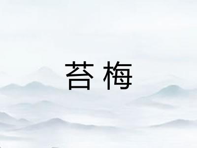 苔梅