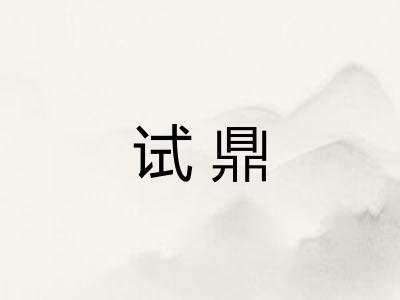 试鼎