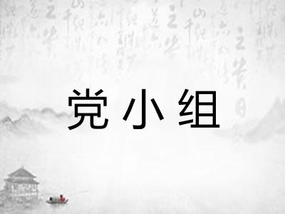 党小组