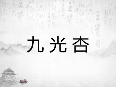 九光杏