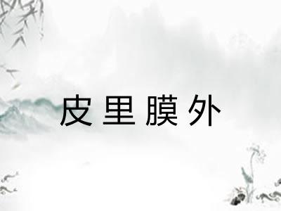 皮里膜外