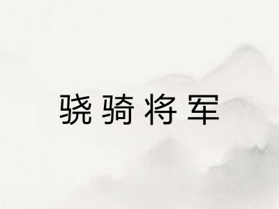 骁骑将军