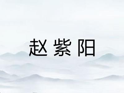 赵紫阳