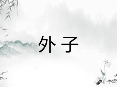 外子