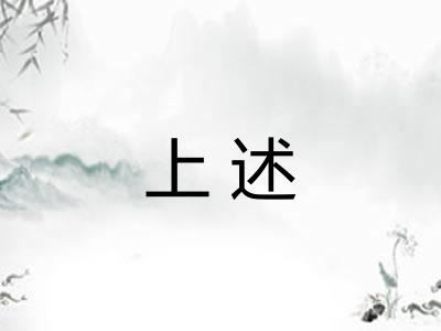 上述