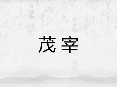 茂宰